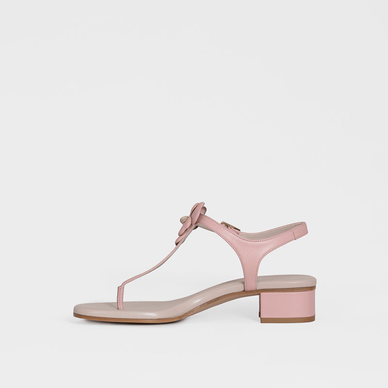 Annastasia Sandal Rose