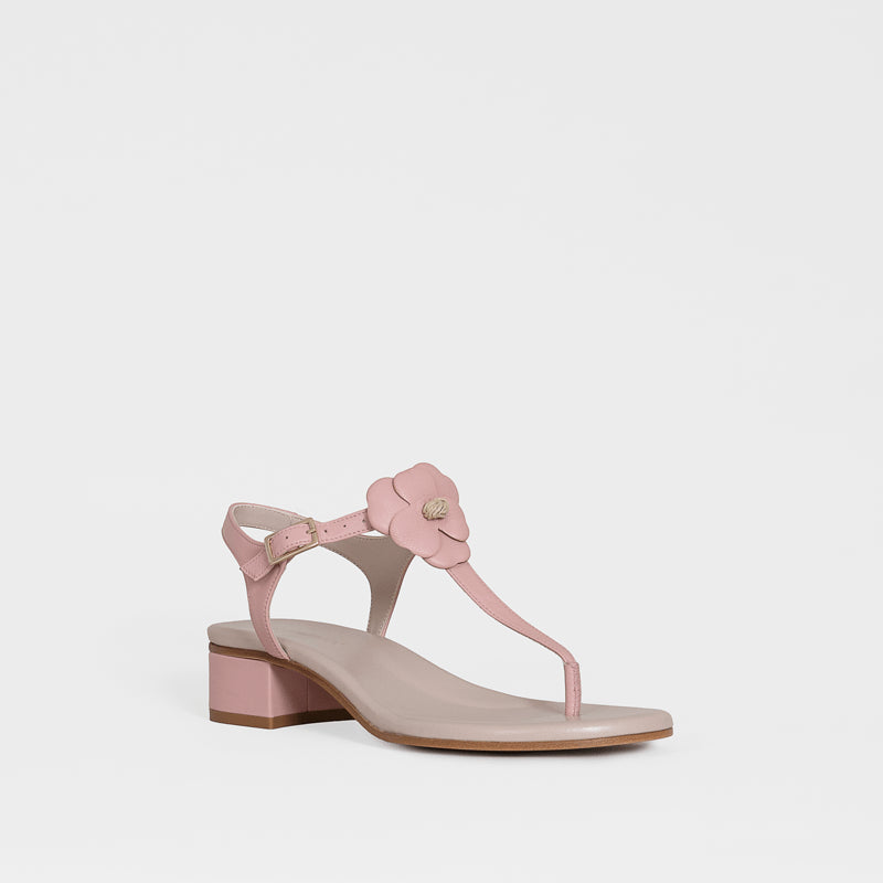 Annastasia Sandal Rose